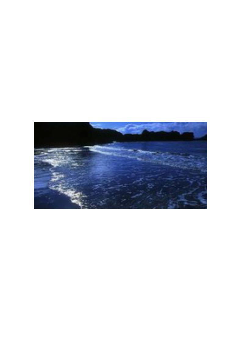 mare3.jpg