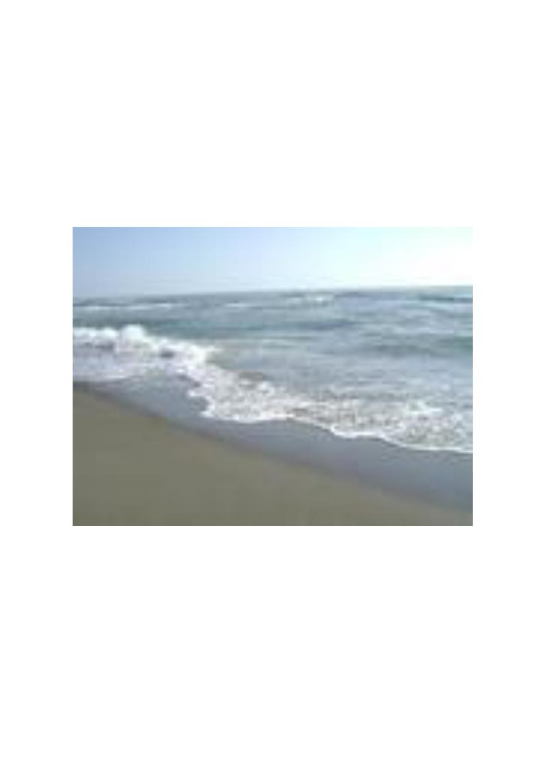 mare4.jpg